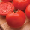 image:imageBurpee Hybrid Organic Tomato Seeds 30 seeds