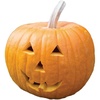 image:imageBurpee Jack O Lantern Organic Pumpkin Seeds 75 seeds