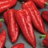 image:imageBurpee Marconi Rosso Organic Sweet Pepper Seeds 20 seeds