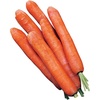 image:imageBurpee Nantes Half Long Carrot Seed Tape 83 per tape