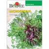 image:imageBurpee Rainbow Mix Microgreens Seeds  Zesty Nutritious Indoor Blend