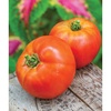 image:imageBurpee Rutgers Heirloom Slicing Tomato 125 NonGMO SeedsBetter Boy Hybrid