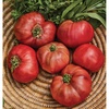 Cherokee Purple Heirloom