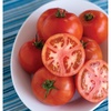 Early Pick VF Hybrid