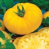 Sunny Boy Hybrid