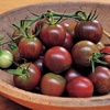 image:imageBurpee San Marzano Heirloom Paste Tomato 75 NonGMO SeedsBlack Pearl
