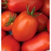 Roma Organic