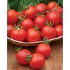 image:imageBurpee Super Sweet 100 Hybrid Cherry Tomato 50 NonGMO SeedsChadwick Cherry Organic