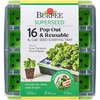 image:imageBurpee SuperSeed Seed Starting Tray  36 Cell Reusable Seed Starter Tray  for Starting Vegetable Flower amp Herb Seeds  Indoor Grow Kit for Plant Seedlings  for Germination Success16 Cells