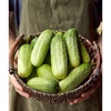 Pick-A-Bushel
