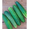 image:imageBurpee Sweet Success Slicing Cucumber Seeds 20 NonGMO seedsStraight Eight