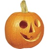 image:imageBurpee Triple Treat Pumpkin Seeds 100 seeds