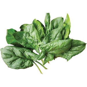 image:imageBurpee A La Carte Hybrid Spinach Seeds 300 seedsA La Carte Hybrid