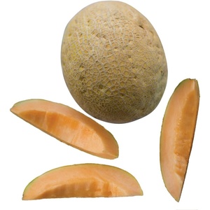 image:imageBurpee Aphrodite Cantaloupe Melon Seeds 25 seeds