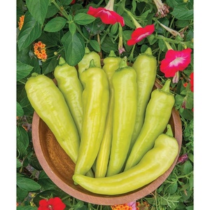 image:imageBurpee Big Guy Hot Pepper Seeds 30 seedsBlazing Banana