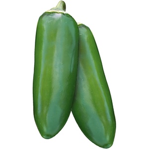 image:imageBurpee Big Guy Hot Pepper Seeds 30 seedsJalapeno Gigante