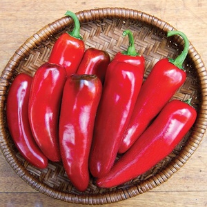image:imageBurpee Born to be Mild Hot Pepper Seeds 20 seeds
