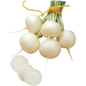 image:imageBurpee Burpee White Radish Seeds 300 seeds