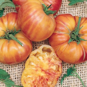 image:imageBurpee BushSteak Hybrid Red Beefsteak Slicing Tomato 40 NonGMO SeedsMr Stripy Heirloom