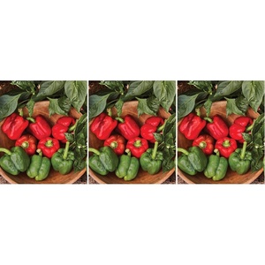 image:imageBurpee California Wonder Sweet Pepper Seeds  300 NonGMO Heirloom Pepper Seeds for Home Garden  Large Red Bell Peppers amp Green Bell Peppers for Stuffing  Seeds for Planting300 Seeds Pack of 3