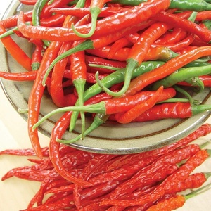 image:imageBurpee Cayenne Hot Pepper Seeds 20 seeds