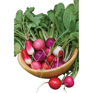image:imageBurpee Cherry Belle Radish Seeds 1000 seedsCooks Custom Blend Radish