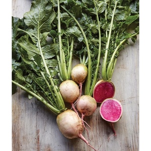 image:imageBurpee Cherry Belle Radish Seeds 1000 seedsWatermelon Radish