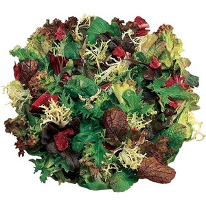 image:imageBurpee Classic Mix Mesclun Seeds 1500 seeds