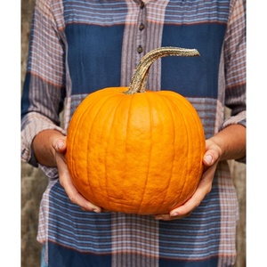 image:imageBurpee Connecticut Pumpkin Seeds 50 seedsConnecticut Pumpkin