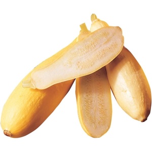 image:imageBurpee Early Prolific Straightneck Summer Squash Seeds 100 seeds