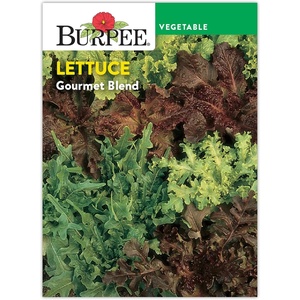 image:imageBurpee Gourmet Blend Lettuce Seeds  680mg NonGMO Seed Packet for Home Gardening  Fast Growing Mixed Lettuce Colorful Loose Leaf Variety Heat Tolerant Gourmet Blend Lettuce SeedsGourmet Blend Lettuce Seeds