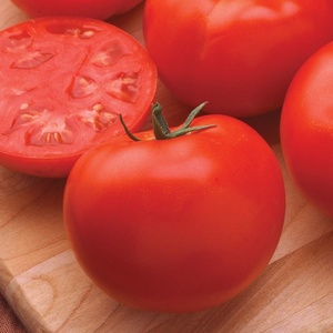 image:imageBurpee Hybrid Organic Tomato Seeds 30 seeds