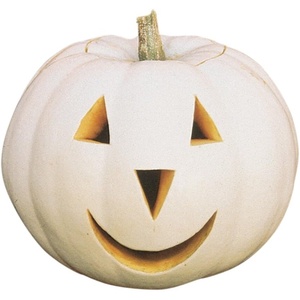 image:imageBurpee Lumina Pumpkin Seeds 10 seeds