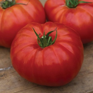 image:imageBurpee Oh Happy Day Hybrid  Red Beefsteak Slicing Tomato  25 SeedsHeritage