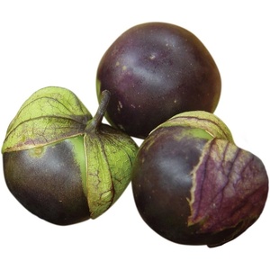 image:imageBurpee Purple Organic Tomatillo Seeds 80 seeds