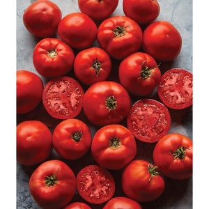 image:imageBurpee Rutgers Heirloom Slicing Tomato 125 NonGMO SeedsBig Boy Hybrid