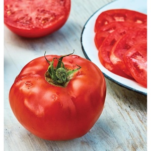 image:imageBurpee Rutgers Heirloom Slicing Tomato 125 NonGMO SeedsRutgers Heirloom