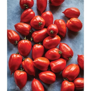 image:imageBurpee San Marzano Heirloom Paste Tomato 75 NonGMO SeedsBig Mama Hybrid