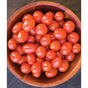 image:imageBurpee Super Sweet 100 Hybrid Cherry Tomato 50 NonGMO SeedsNapa Grape