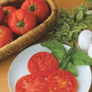 image:imageBurpee Supersteak Hybrid  Large Red Beefsteak Slicing Tomato  125 Seeds125 seeds