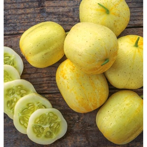 image:imageBurpee Sweet Success Slicing Cucumber Seeds 20 NonGMO seedsLemon Cucumber