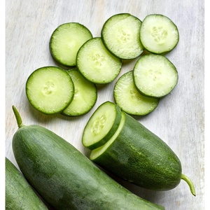 image:imageBurpee Sweet Success Slicing Cucumber Seeds 20 NonGMO seedsSweet Success