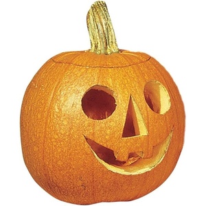 image:imageBurpee Triple Treat Pumpkin Seeds 100 seeds