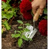 image:imageBurpee 12 Stainless Steel Weeder  Durable Long Lasting Garden Tool  Leather Wrist Strap 5 Handle OakOak