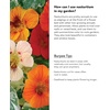 image:imageBurpee Alaska Mix Nasturtium Seeds 50 seeds50 Seeds