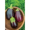 image:imageBurpee Black Beauty Organic Heirloom Eggplant Seeds 50 seedsBlack Beauty Organic Heirloom