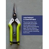image:imageBurpee CR725 Garden Pruning Shears  Garden Hand Tools  Lightweight Precise Pruners for Gardening  Great for Flower Trimming or Vegetable Harvesting  Gardener GiftsFlower Trimming Shears