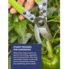 image:imageBurpee CR725 Garden Pruning Shears  Garden Hand Tools  Lightweight Precise Pruners for Gardening  Great for Flower Trimming or Vegetable Harvesting  Gardener GiftsShrub Trimming Shears