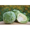 image:imageBurpee Charleston Wakefield Cabbage Seeds 200 seeds