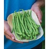 image:imageBurpee Contender Bush Bean Seeds 2 ounces of seed
